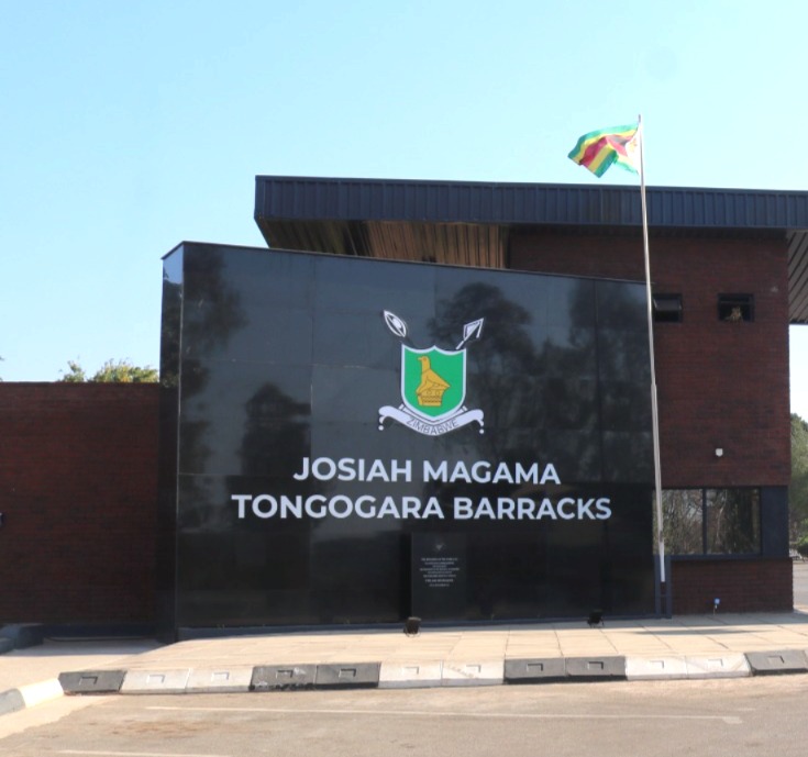Zimbabwe National Army Forces